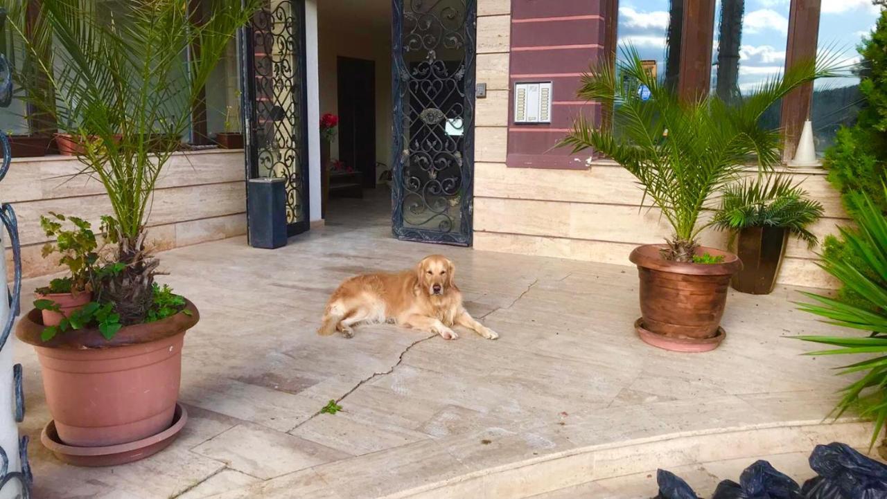 Апартаменти Велека Бийч Sinemoretz Exterior foto